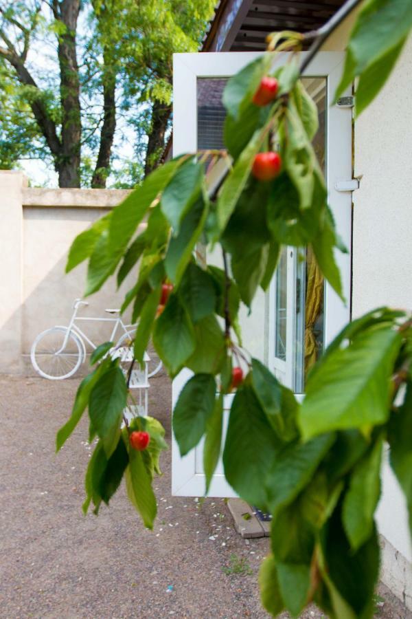 Ekonom-Domik Hotel Odessa Luaran gambar
